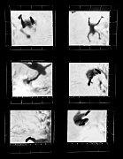 PREMIO 1° BOLOGNESI-LAURA-042651-FOOTPRINTS-2023